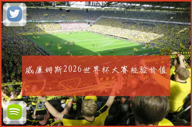 威廉姆斯2026世界杯大赛经验价值