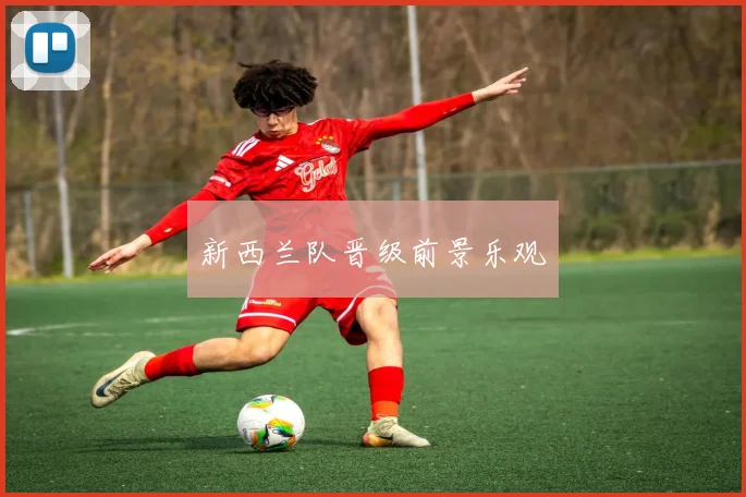 新西兰队晋级前景乐观