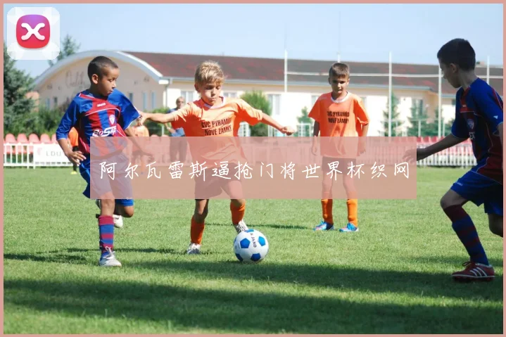 阿尔瓦雷斯逼抢门将世界杯织网