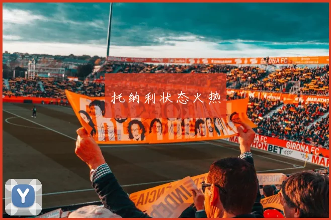 托纳利状态火热