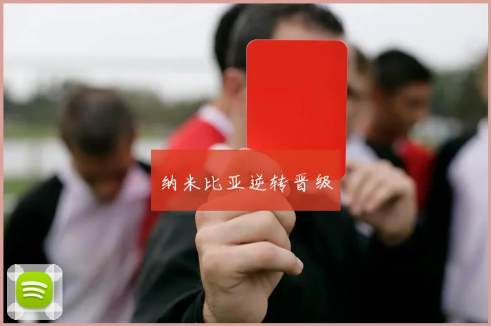 纳米比亚逆转晋级