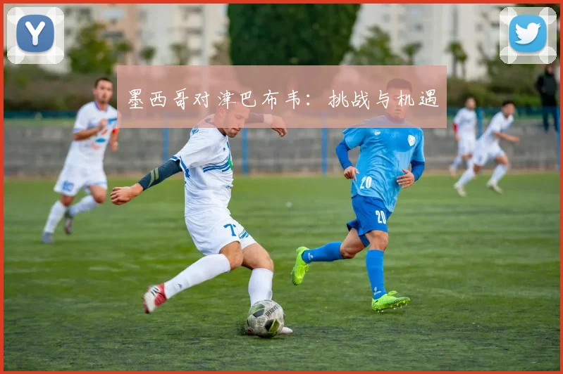 墨西哥对津巴布韦:挑战与机遇