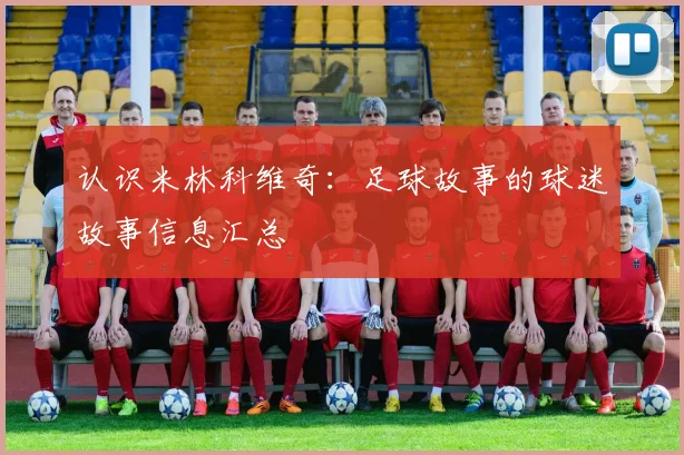 认识米林科维奇:足球故事的球迷故事信息汇总