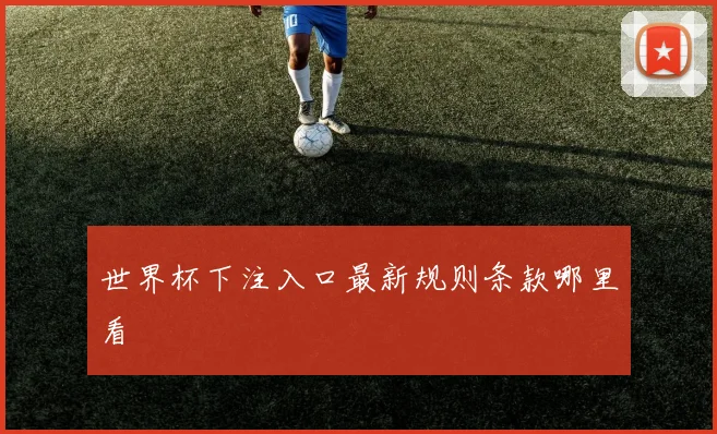 世界杯下注入口最新规则条款哪里看