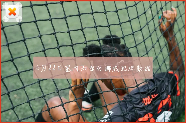 6月22日塞内加尔对挪威犯规数据