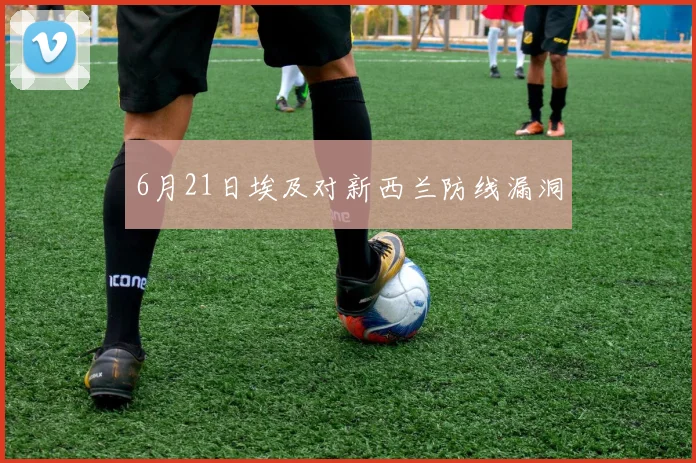 6月21日埃及对新西兰防线漏洞