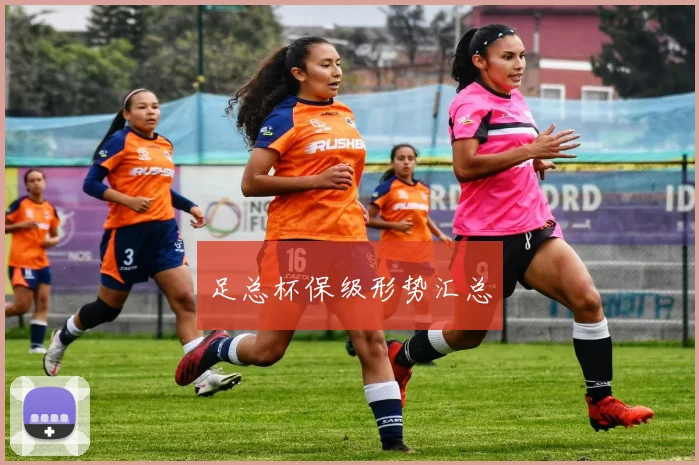 足总杯保级形势汇总